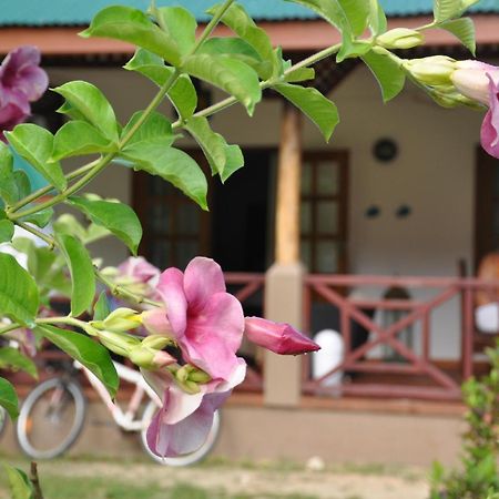 Paodise Guesthouse La Digue Dış mekan fotoğraf